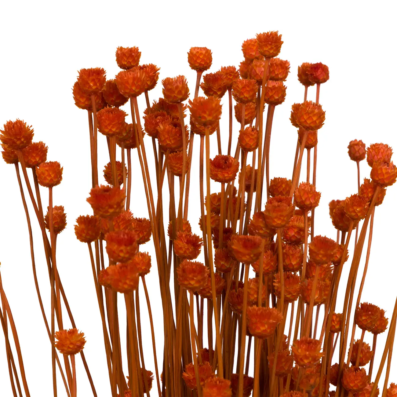 FLOR FOLHAGEM CONGONHA - TERRACOTA - Foto 7