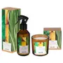 KIT BROMÉLIA AROMATIZADOR + VELA PERFUM. - BEGE/MULTICOR - Foto 1