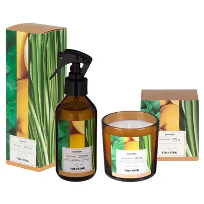 KIT BROMÉLIA AROMATIZADOR + VELA PERFUM.