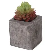 YUKATÁN SUCULENTA AURORA MINI ARRANJO - GRAFITE/VERDE - Foto 2
