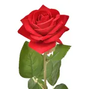 FLOR ROSA - VERMELHO/VERDE - Foto 2