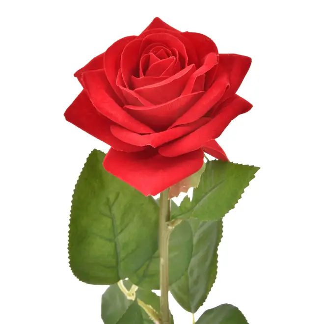 FLOR ROSA - VERMELHO/VERDE - Foto 2
