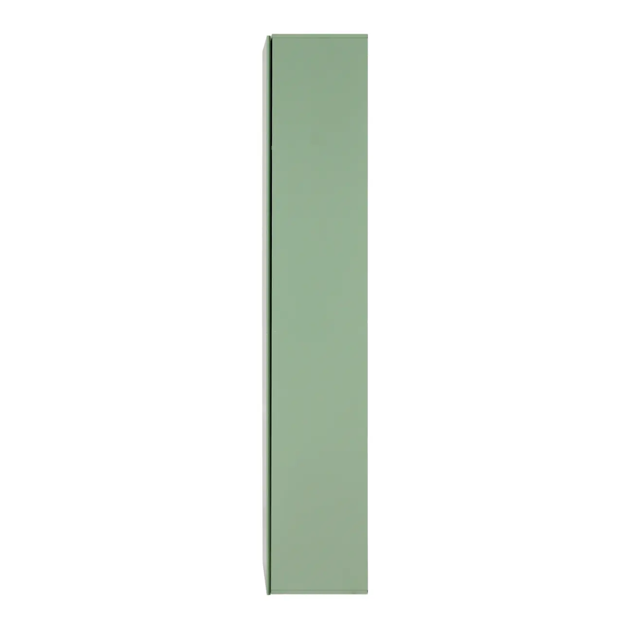 PANELEIRO/ARMÁRIO PARA LAVANDERIA 1 PORTA 60 CM X 2 M SALSA - SÁLVIA - Foto 5