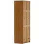 GUARDA-ROUPA/SAPATEIRA 2 PORTAS 45 MAXIMUS - FREIJÓ - Foto 11
