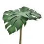 FOLHAGEM C/6 MONSTERA - VERDE/BRANCO - Foto 2