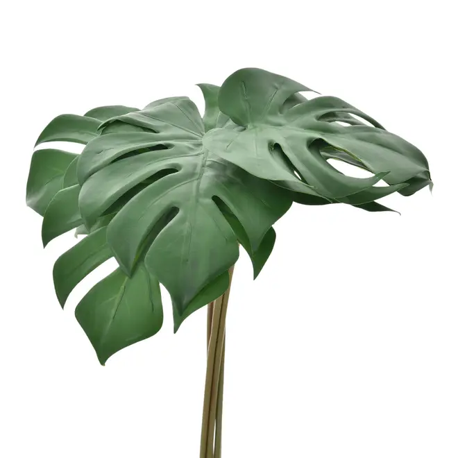 FOLHAGEM C/6 MONSTERA - VERDE/BRANCO - Foto 2