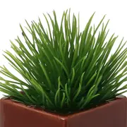ARRANJO GRAMINEUS - MARROM/VERDE - Foto 3