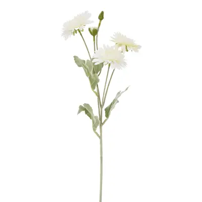 FLOR BOUTONS DÁLIA