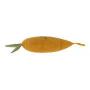 ALMOFADA 48 CM X 21 CM DA HORTINHA CENOURINHA - LARANJA/SÁLVIA - Foto 4