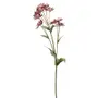 FLOR DENTE DE LEÃO CAMPESTRE - VERMELHO/VERDE - Foto 1