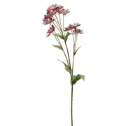 FLOR DENTE DE LEÃO CAMPESTRE - VERMELHO/VERDE - Foto 1