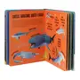LANTERNA - PROCURE E ENCONTRE! TUBARÕES LIVRO INFANTIL - MULTICOR - Foto 5