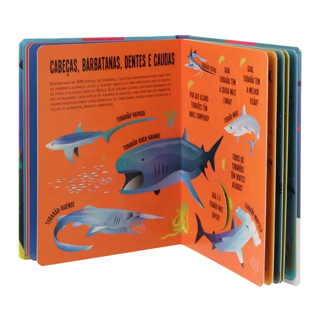 LANTERNA - PROCURE E ENCONTRE! TUBARÕES LIVRO INFANTIL - MULTICOR - Foto 5