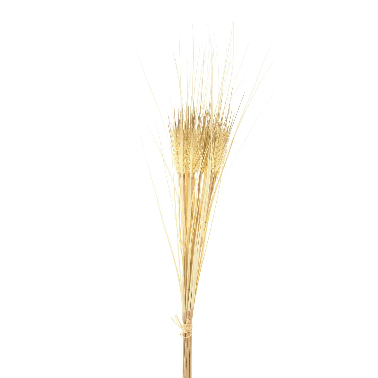 FOLHAGEM REED BUSH - BEGE/BEGE - Foto 1