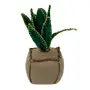 PESO PARA PORTA 21 CM X 9 CM SANTABÁ - VERDE/CAMELO - Foto 3