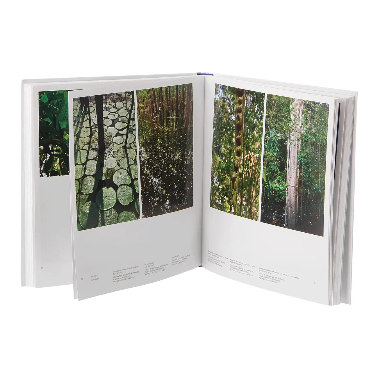 LIVRO AMAZÔNIA - PRESERVAÇAO NATURAL E CULTURAL - MULTICOR - Foto 4