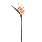 435795_OK_V01.png