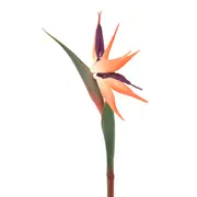 435795_OK_V02.png