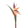 435795_OK_V02.png
