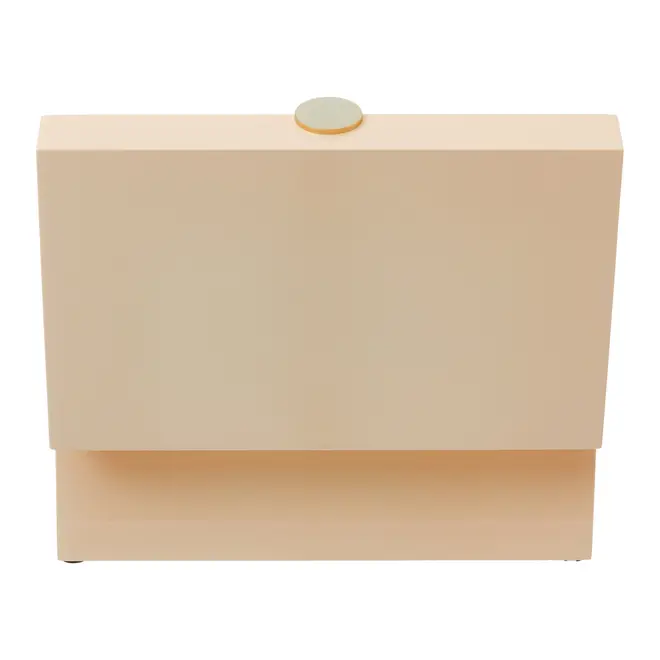 CAIXA 9 CM X 21 CM X 13 CM MINALLUM - AREIA/OURO - Foto 5