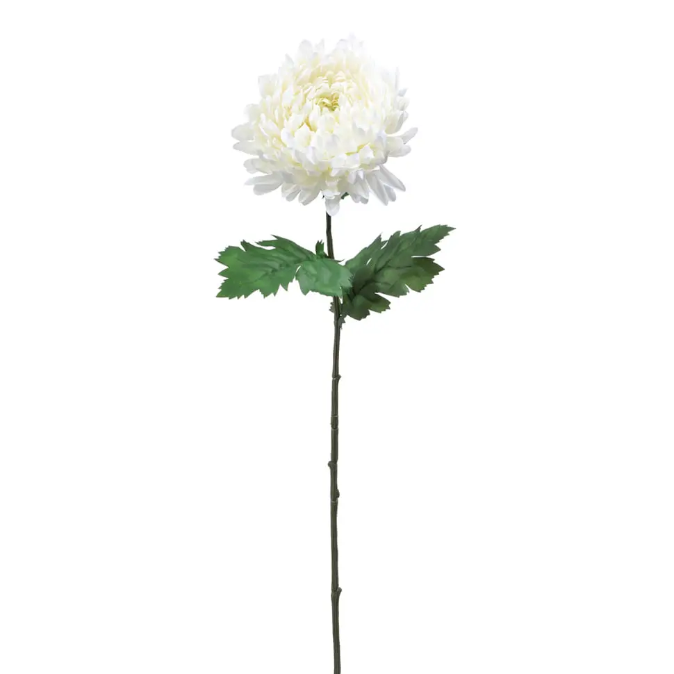 FLOR CALÊNDULA SOLAR - BRANCO/VERDE - Foto 1