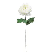 FLOR CALÊNDULA SOLAR - BRANCO/VERDE - Foto 1