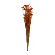 FLOR FOLHAGEM CONGONHA - TERRACOTA - Foto 6