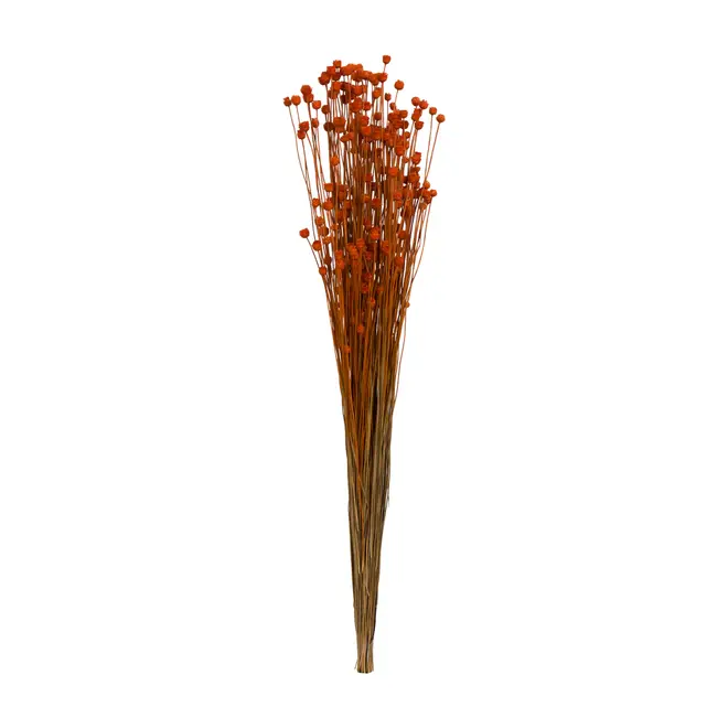 FLOR FOLHAGEM CONGONHA - TERRACOTA - Foto 6