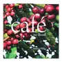 LIVRO CAFÉ NO BRASIL - MULTICOR - Foto 1