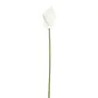 FLOR ANTHURIUM COPO DE LEITE - BRANCO/VERDE - Foto 3