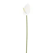 FLOR ANTHURIUM COPO DE LEITE - BRANCO/VERDE - Foto 3