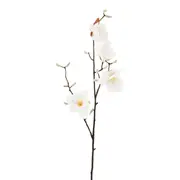 FLOR SUMAUMA - BRANCO/AMARELO HANBAR - Foto 2