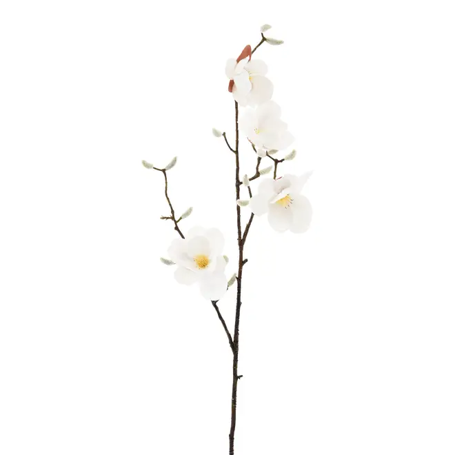 FLOR SUMAUMA - BRANCO/AMARELO HANBAR - Foto 2