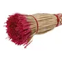 VASSOURA DECORATIVA ACARI - FIBRA CLARA/ROSA - Foto 6