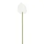 FLOR ANTHURIUM COPO DE LEITE - BRANCO/VERDE - Foto 2