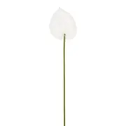 FLOR ANTHURIUM COPO DE LEITE - BRANCO/VERDE - Foto 2