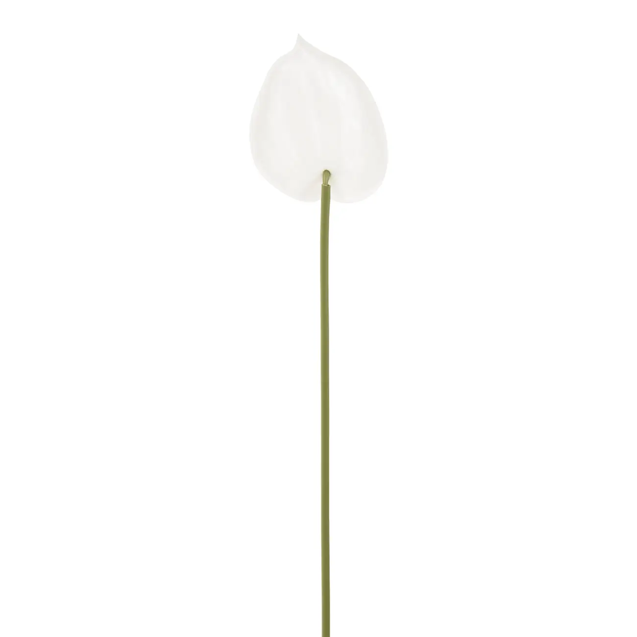 FLOR ANTHURIUM COPO DE LEITE - BRANCO/VERDE - Foto 2