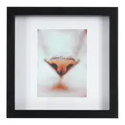 QUADRO KITTEN 20 CM X 20 CM - PRETO/CORES CALEIDOCOLOR - Foto 1