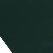 LUGAR AMERICANO 45 CM X 30 CM ARCOLADO - VERDE ESCARAVELHO - Foto 3