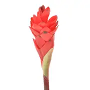 435796_OK_V02.png