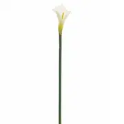 FLOR COPO DE LEITE IMPÉRIO - BRANCO/VERDE - Foto 1