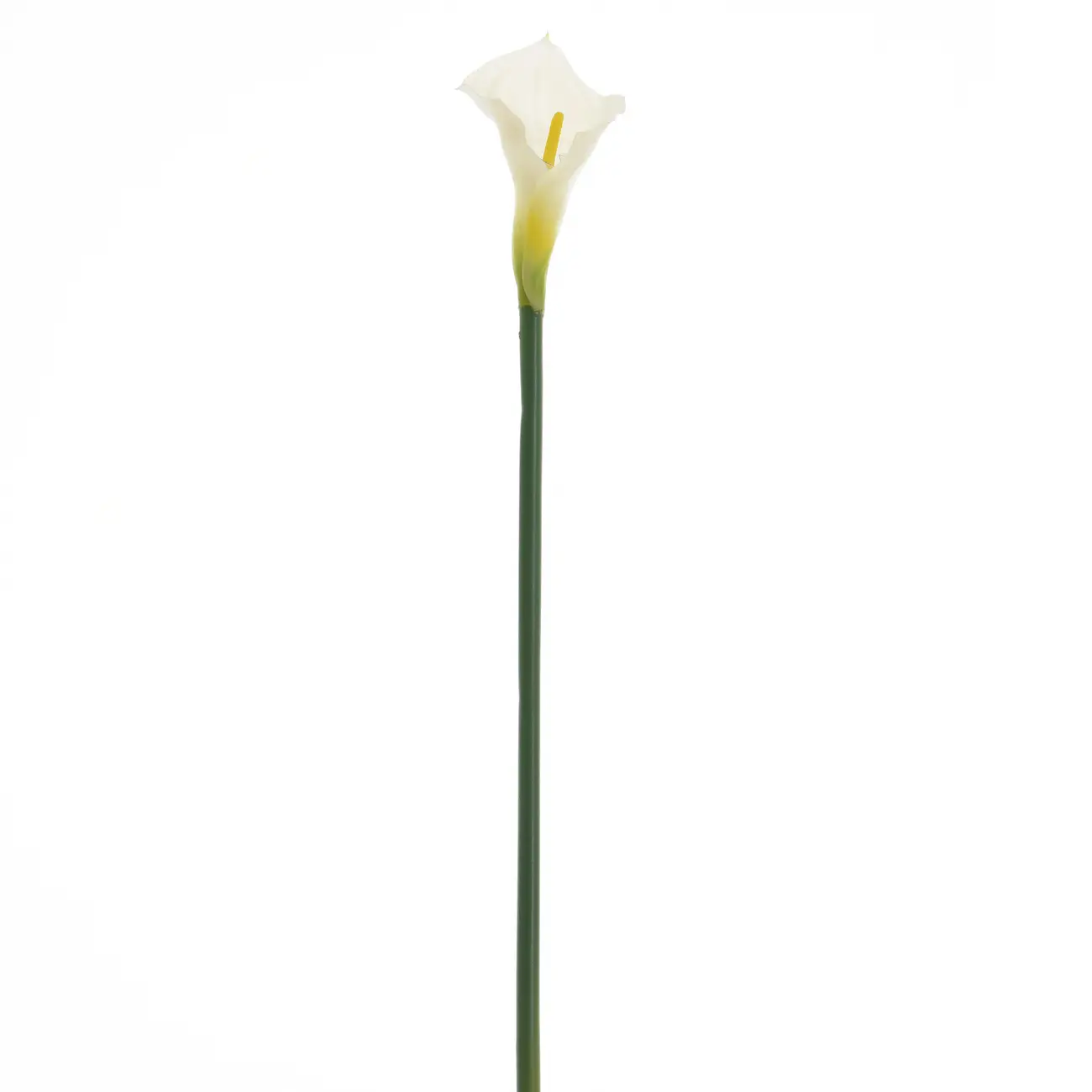 FLOR COPO DE LEITE IMPÉRIO - BRANCO/VERDE - Foto 1