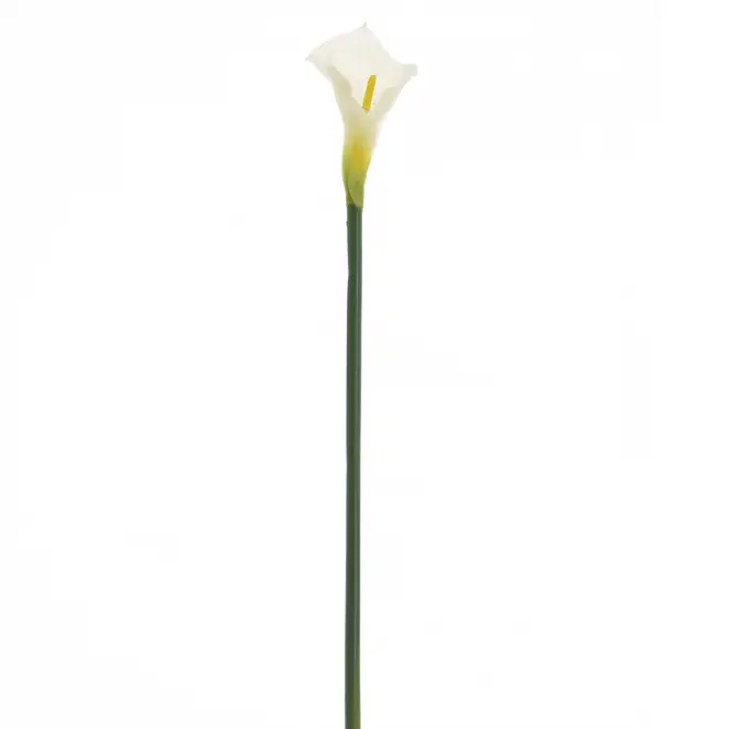 FLOR COPO DE LEITE IMPÉRIO - BRANCO/VERDE - Foto 1