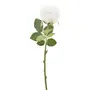 ROSE FLOR - BRANCO/VERDE - Foto 1