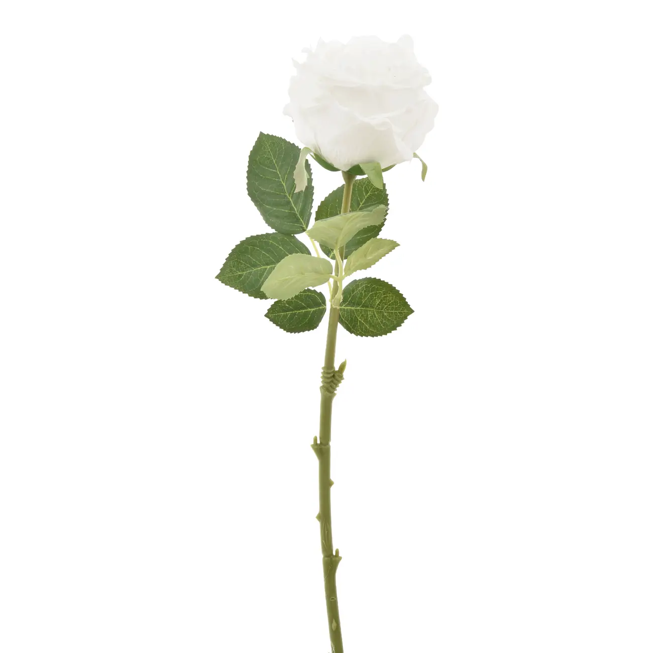 ROSE FLOR - BRANCO/VERDE - Foto 1