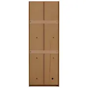 GUARDA-ROUPA/SAPATEIRA 2 PORTAS 45 MAXIMUS - FREIJÓ - Foto 21