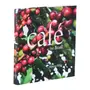 LIVRO CAFÉ NO BRASIL - MULTICOR - Foto 2