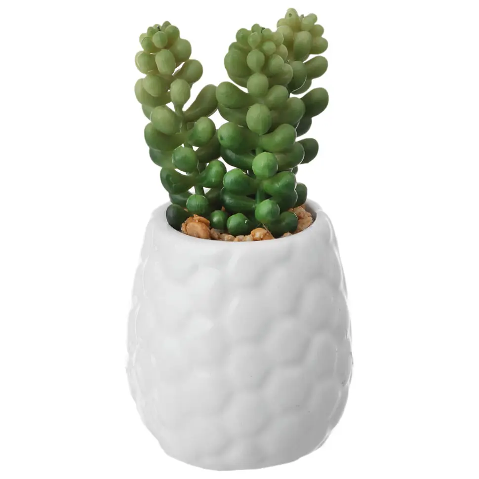 SUCULENTA BURRITO MINI ARRANJO KOMODO - BRANCO/VERDE - Foto 1