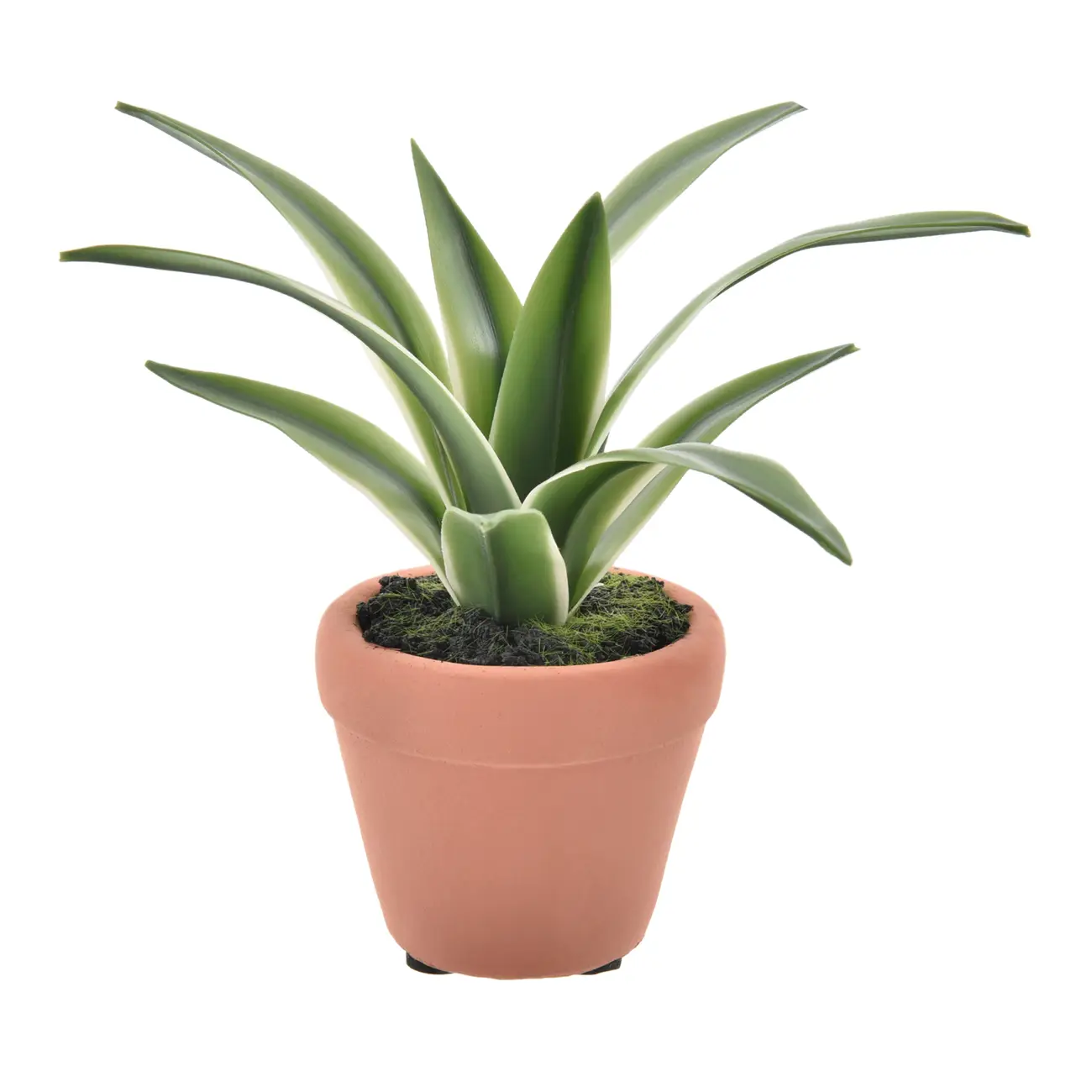 ARRANJO FOLHA DE ORQUÍDEA DA TERRA - VERDE/TERRACOTA - Foto 1