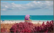 QUADRO MIAMI BEACH II 80 CM X 50 CM - ALUMÍNIO/MULTICOR - Foto 1